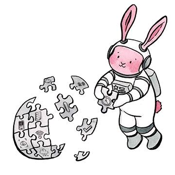 Mascota Astronautul Roz — Soluții software personalizate